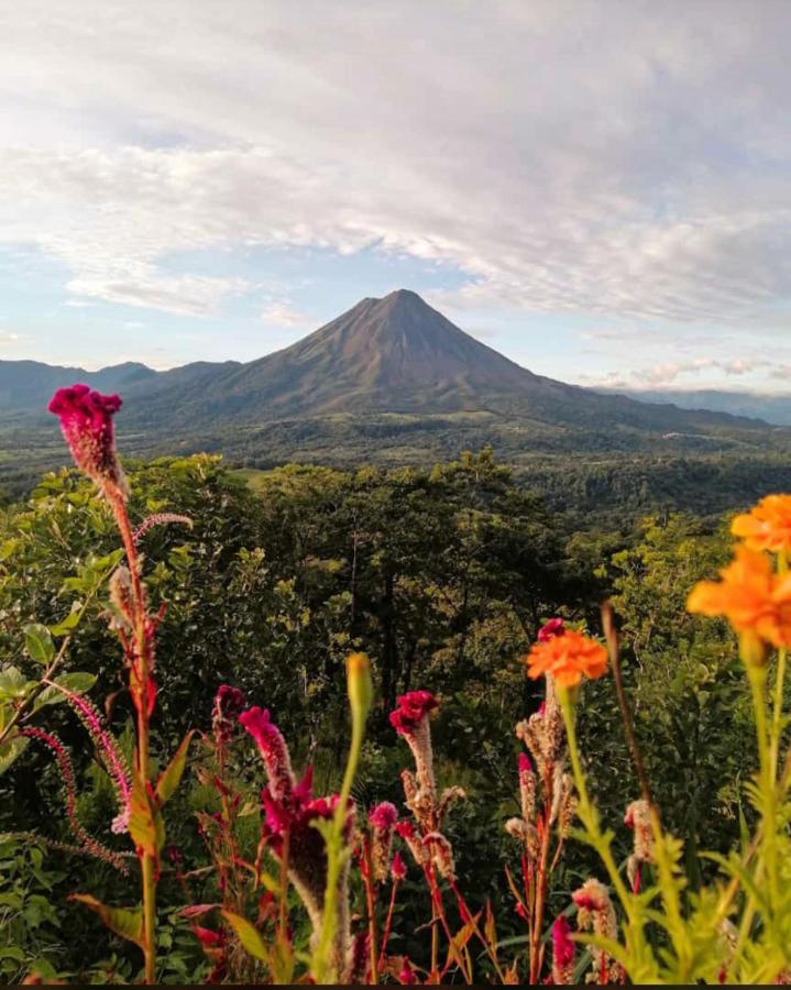 Las Pavitas Cottages La Fortuna Exterior foto