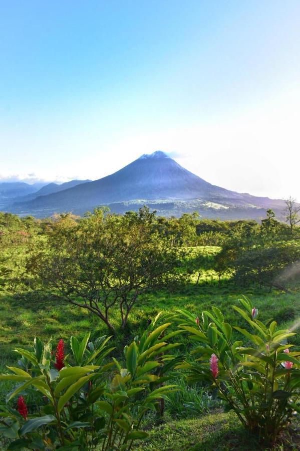 Las Pavitas Cottages La Fortuna Exterior foto